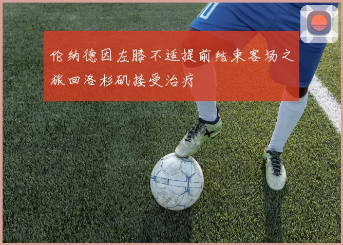 伦纳德因左膝不适提前结束客场之旅回洛杉矶接受治疗
